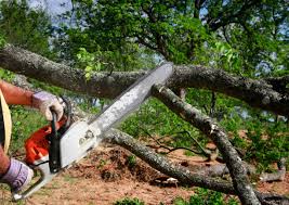 Best Weed Control  in Fallston, MD