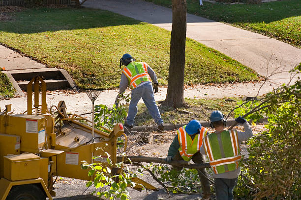 Best Pest Control for Lawns  in Fallston, MD